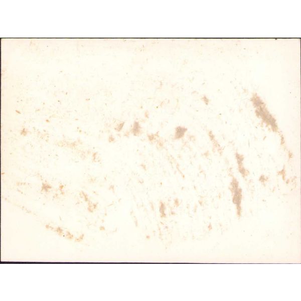 İzmir, Efes'e ait 55 adet fotoğraf lotu, 8x6 cm